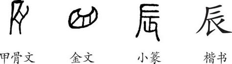 辰 字義|辰的字源字形